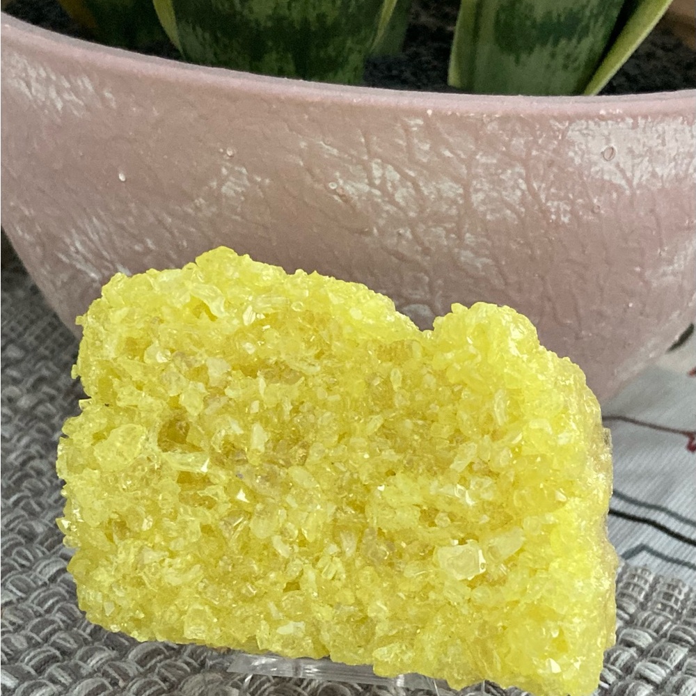 French Sulfur Specimen - Vibrant Yellow on Matrix